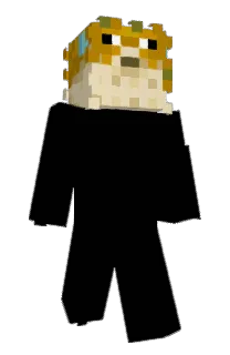 Front of ulliver's skin