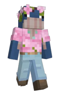 Front of Minecraft skin