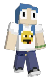 Skin preview