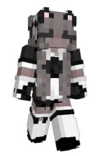 Front of Hayukirtx's skin