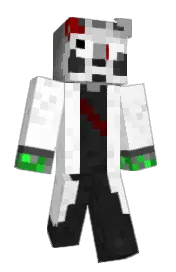 Skin preview