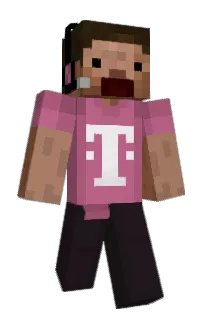 AllahunterAyri's Minecraft skin