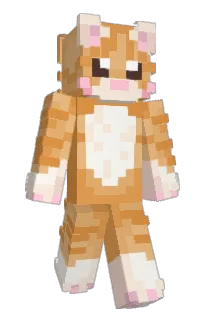 Front of krypchan's skin