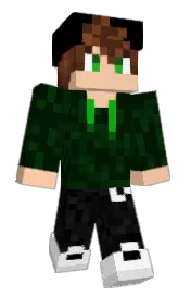 Skin preview