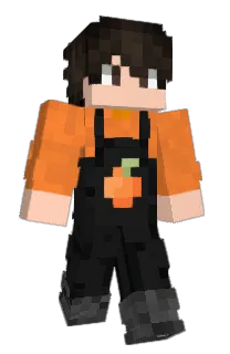 Front of aCaiS's skin