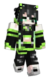Skin preview