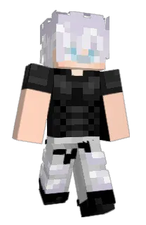 Villager_Dude's Minecraft skin