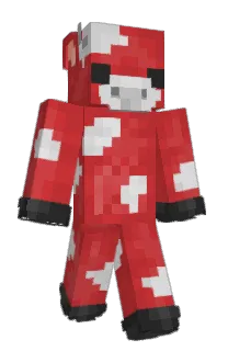 Front of klarcix's skin