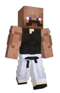 Front of x1x1's skin