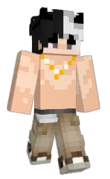 Minecraft skin — Classic model