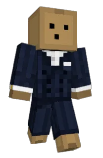 Front of NewServer's skin