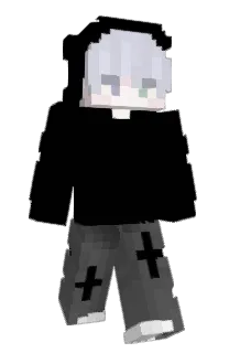 Front of ThePolle's skin