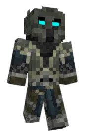 Skin preview