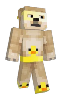Front of Midaritoo's skin