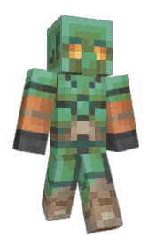 Skin preview