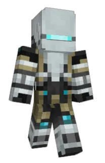 Front of Keinjin's skin