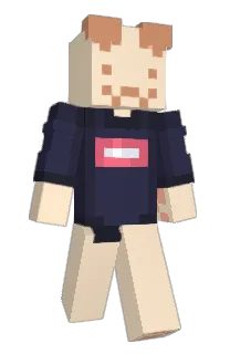 Front of Snoozypher's skin