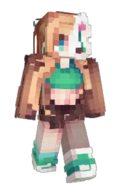 Skin preview