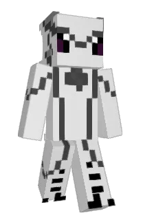 Front of Sillysalmon123's skin