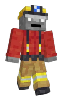 Front of cives's skin