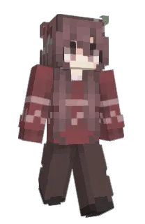 Front of D0lphyn's skin