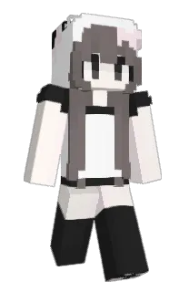 Front of vintte's skin