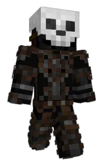 Front of hrvatron's skin
