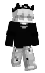 Minecraft skin — Classic model