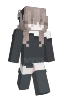 Front of blile's skin