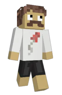 Front of 9171's skin