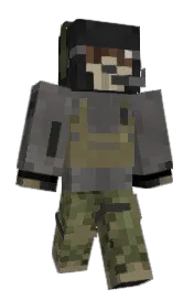 Skin preview