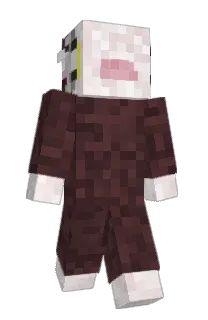 Front of Flareric's skin