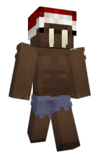Front of hayydn333's skin