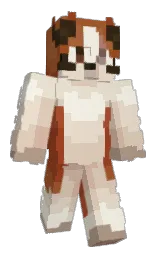 Minecraft skin — Classic model