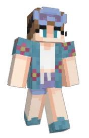 Skin preview