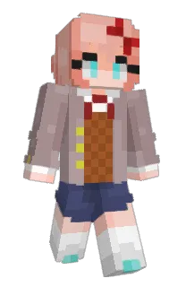 Front of ICNIV's skin