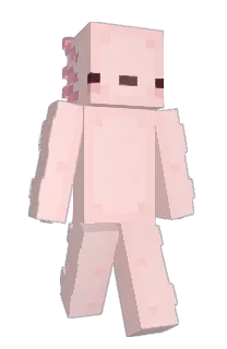 Front of _PVT's skin