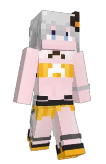 SONchamp's Minecraft skin