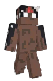 Skin preview