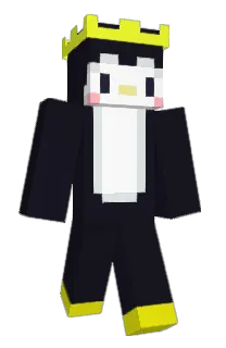 WishMC24's Minecraft skin