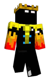 Front of Dragonfalcon's skin