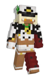 Skin preview