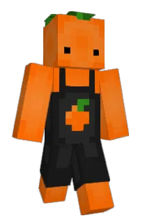 Front of remqx's skin
