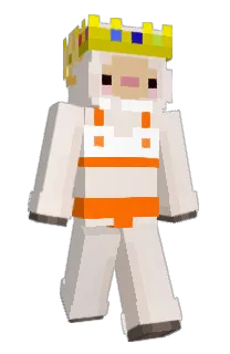 Front of wooleyLIVE's skin