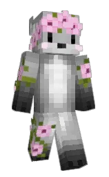 Diligord's Minecraft skin wearing the Cherry Blossom cape