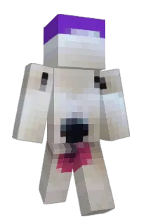 Front of cigerts's skin