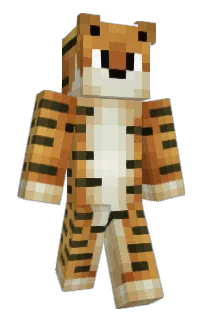 Front of motaar's skin