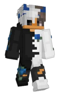 Front of lesconico's skin