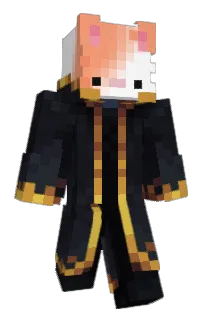 Front of unitk's skin
