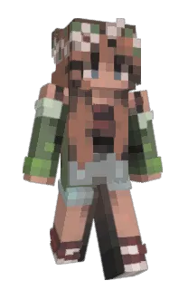 Front of Minecraft skin